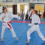 Karate 2017 060